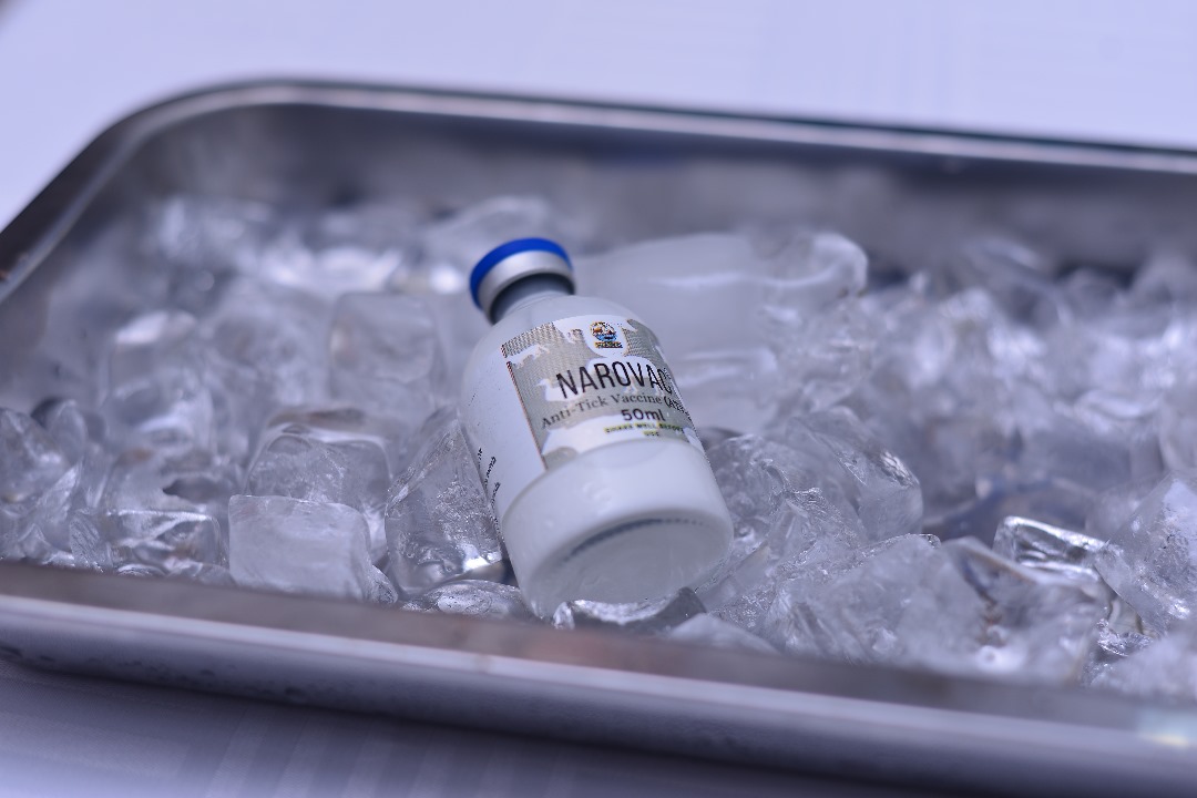 NAROVAC Anti-Tick Vaccine vial on ice