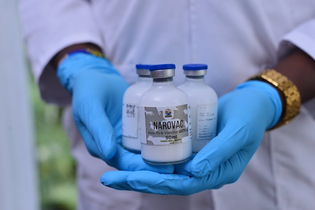 NAROVAC Anti-Tick Vaccine vials